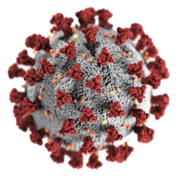 Corona Test Mühlhausen